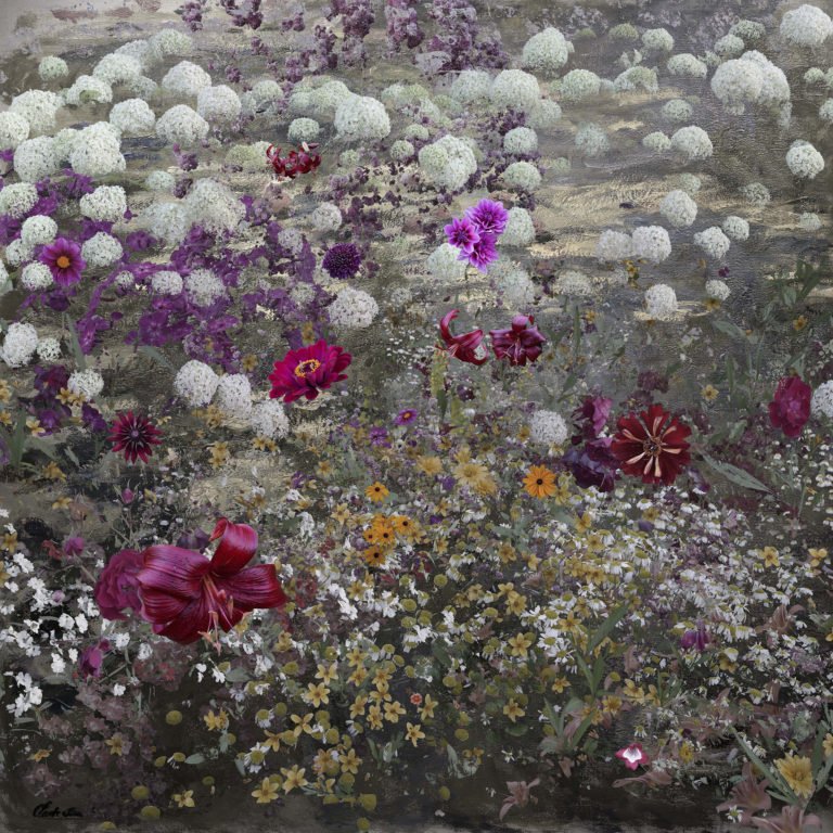 Giverny Abstract 42