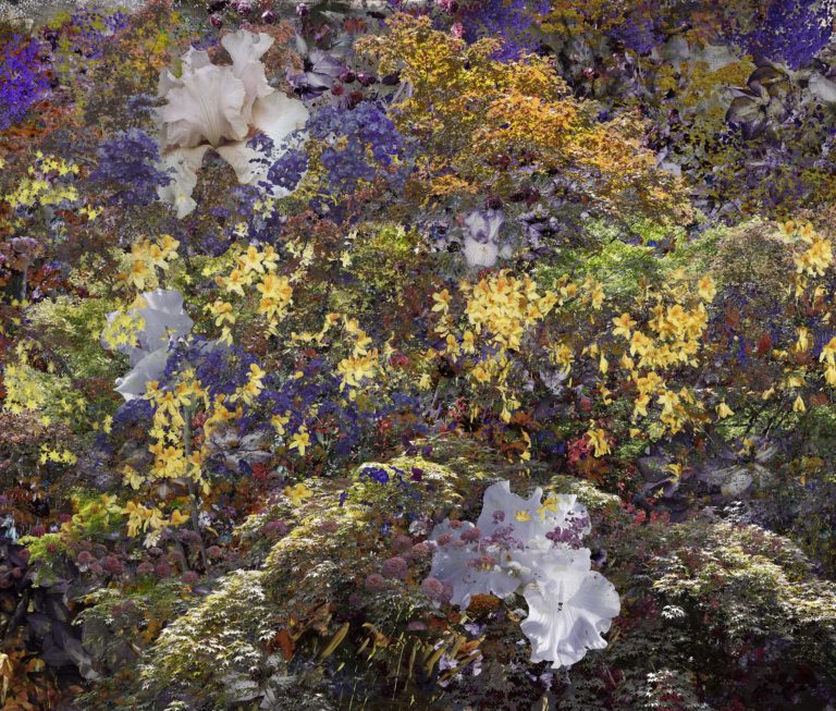 Giverny Abstract 15