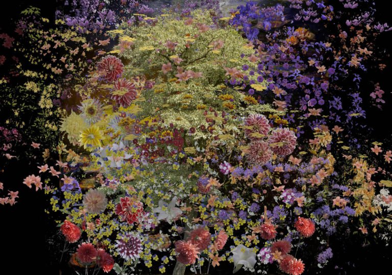 Giverny Abstract 22