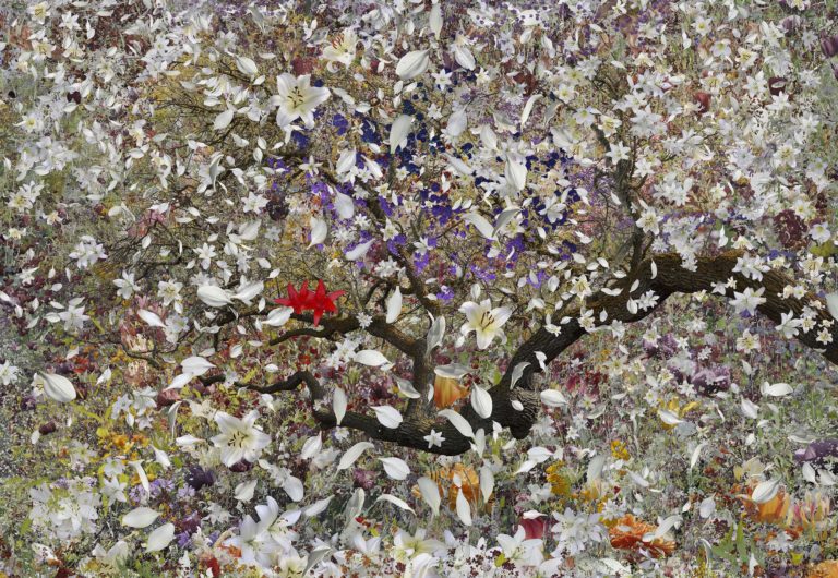 Giverny Abstract 31
