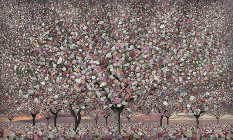 Giverny Arbres aux roses