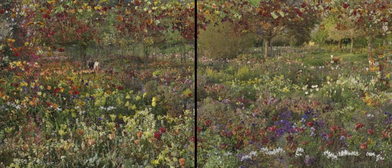 Giverny Jardin de Monet