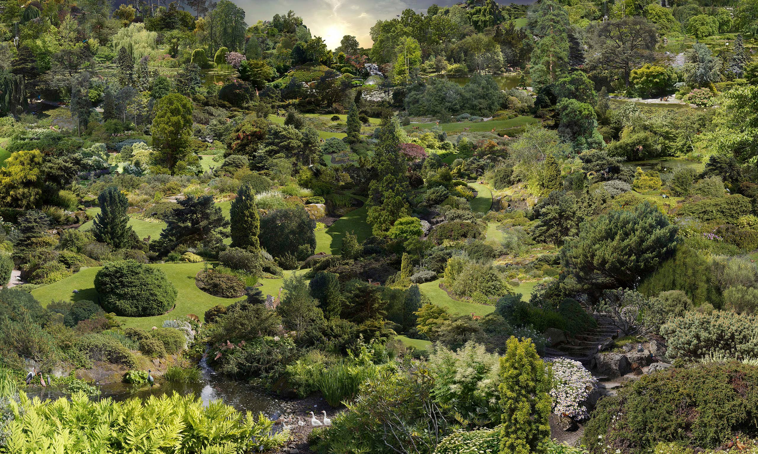 Edinbourg Botanic Garden