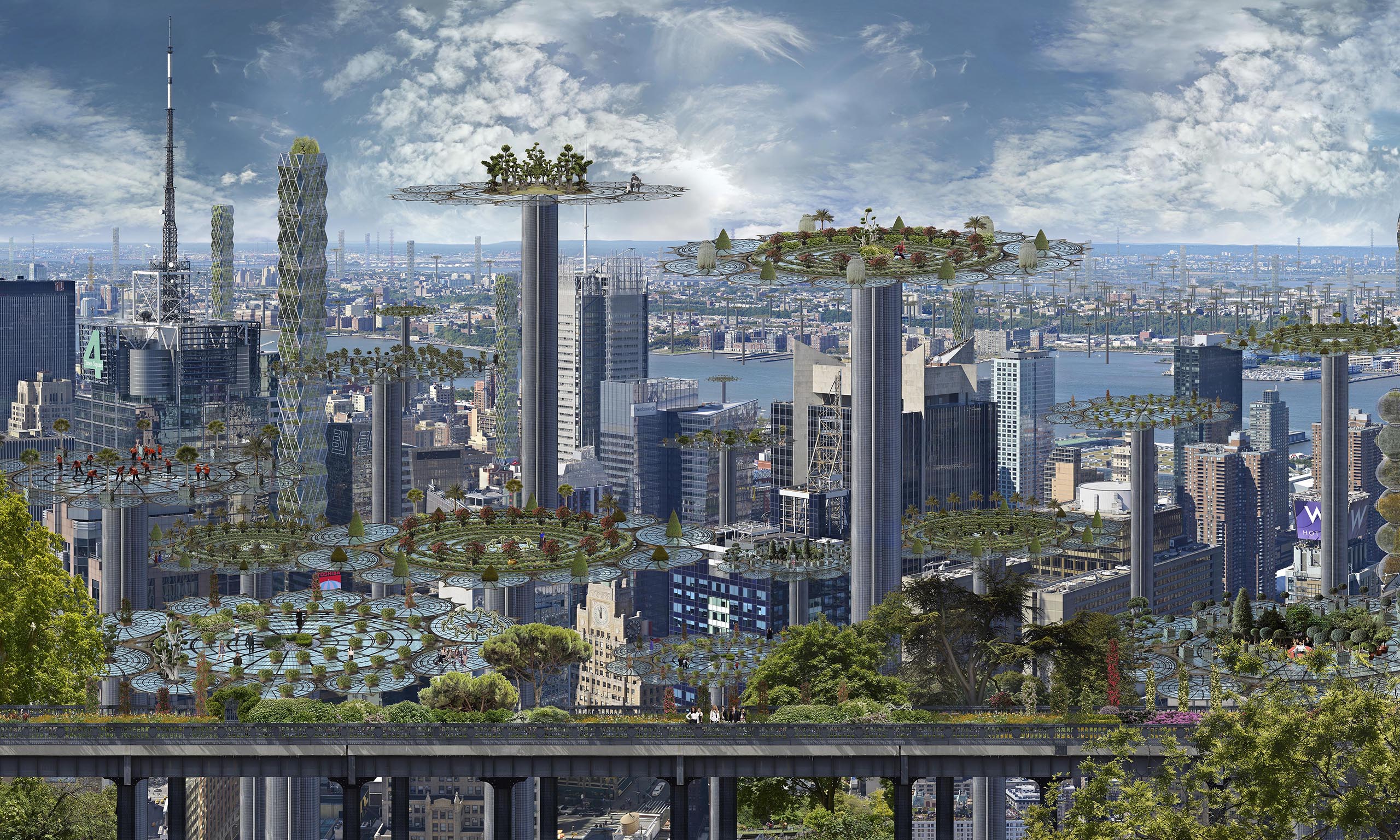NY Manhattan farms 3