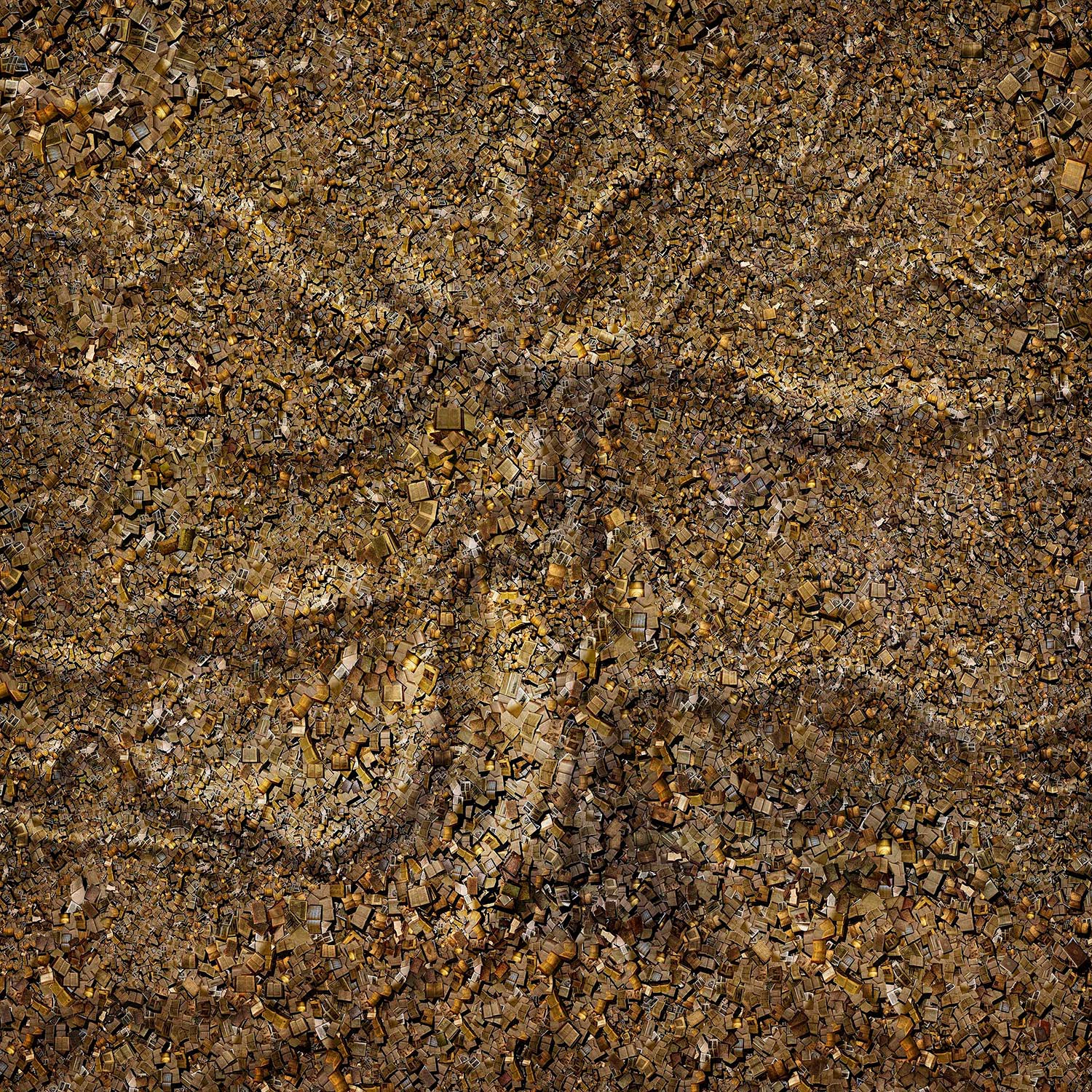 Roots