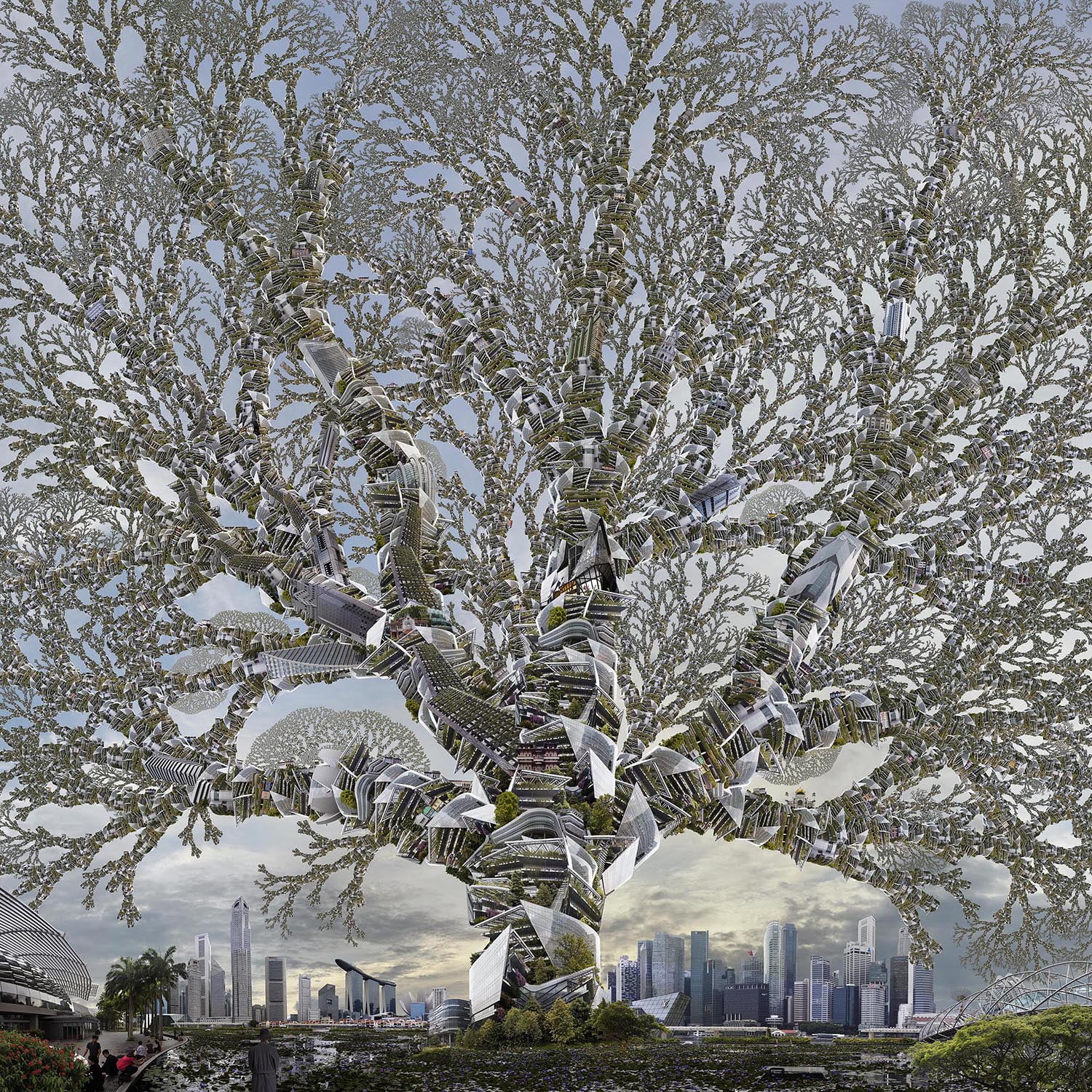 Singapour Arbre Sand crawler v2